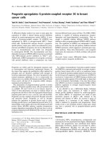 Báo cáo Y học: Progestin upregulates G-protein-coupled receptor 30 in breast cancer cells pot