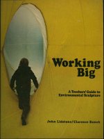 WORKING BIG: A TEACHERS'''' GUIDE TO ENVIRONMENTAL SCULPTURE pptx