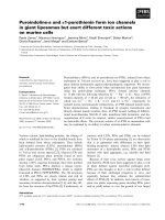 Báo cáo khoa học: Puroindoline-a and a1-purothionin form ion channels in giant liposomes but exert different toxic actions on murine cells pptx