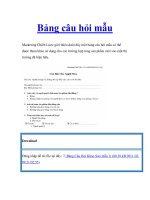 Bảng câu hỏi mẫu pdf
