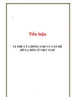 Tiểu luận: VỊ THẾ CỦA ĐỒNG USD VÀ VẤN ĐỀ ĐÔ LA HÓA Ở VIỆT NAM pptx