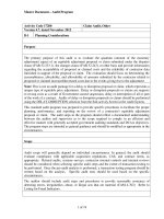 Master Document – Audit Program: Version 4.7, dated November 2012 potx