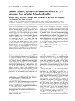 Báo cáo khoa học: Genomic structure, expression and characterization of a STAT5 homologue from pufferﬁsh (Tetraodon ﬂuviatilis) ppt