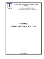 Giới thiệu lò đốt chất thải nguy hại (LH 0988332400) pot