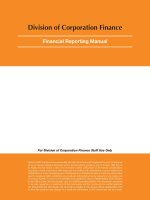 Division of Corporation Finance - Financial Reporting Manual pptx