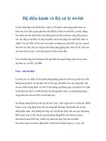 Hệ điều hành và Bộ xử lý 64-bit doc