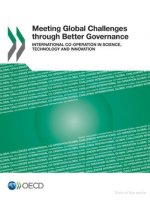 meeting global challenges through better governance international pdf