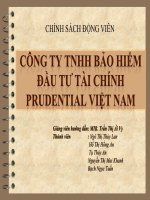 Chính sách động viên tại Prudential Vietnam potx