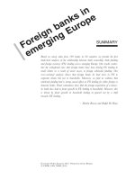 FOREIGN BANKS IN EMERGING EUROPE docx