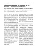 Báo cáo khoa học: Subcellular localization of yeast Sec14 homologues and their involvement in regulation of phospholipid turnover pptx