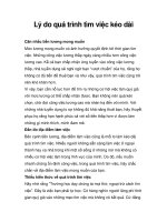 Lý do quá trình tìm việc kéo dài docx