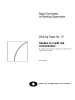 Basel Committee on Banking Supervision Working Paper No. 15 Studies on credit risk concentration docx