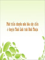 Việc phát triển chuyên môn hóa cây điều ở Tánh Linh pdf