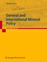 General and International Mineral Policy ppt