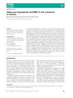 Báo cáo khoa học: Adipocyte hyperplasia and RMI1 in the treatment of obesity doc