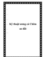  Kỹ thuật ương cá Chẽm ao đất pot