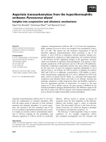 Báo cáo khoa học: Aspartate transcarbamylase from the hyperthermophilic archaeonPyrococcus abyssi Insights into cooperative and allosteric mechanisms docx