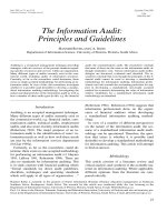 The Information Audit: Principles and Guidelines pdf