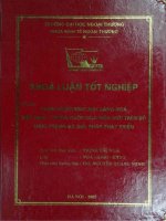 Quan hệ thương mại hàng hóa Việt Nam - Trung Quốc qua biên giới trên bộ thực trạng và giải pháp phát triển