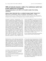Báo cáo khoa học: NMR and molecular dynamics studies of an autoimmune myelin basic protein peptide and its antagonist Structural implications for the MHC II (I-Au)–peptide complex from docking calculations ppt