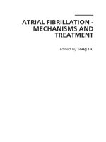 ATRIAL FIBRILLATION - MECHANISMS AND TREATMENT potx