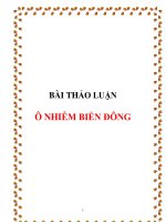 TIỂU LUẬN:Ô NHIỄM BIỂN ĐÔNG docx