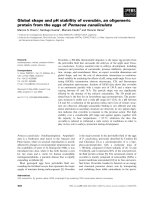 Báo cáo khoa học: Global shape and pH stability of ovorubin, an oligomeric protein from the eggs of Pomacea canaliculata pot