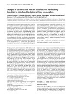 Báo cáo Y học: Changes in ultrastructure and the occurrence of permeability transition in mitochondria during rat liver regeneration ppt