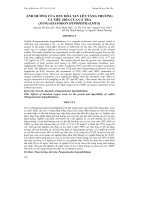 ẢNH HƯỞNG CỦA OXY HÒA TAN LÊN TĂNG TRƯỞNG VÀ TIÊU HÓA CỦA CÁ TRA (PANGASIANODON HYPOPHTHALMUS) pptx