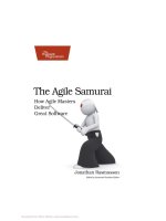 The Agile Samurai: How Agile Masters Deliver Great Software doc