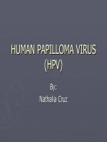 HUMAN PAPILLOMA VIRUS (HPV)