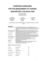 EUROPEAN GUIDELINES FOR THE MANAGEMENT OF CHRONIC NON-SPECIFIC LOW BACK PAIN pot