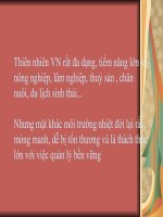 Môi trường Việt Nam pot