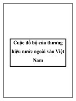 Cuộc đổ bộ của thương hiệu nước ngoài vào Việt Nam pot