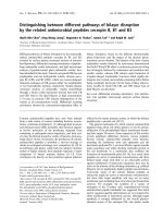 Báo cáo khoa học: Distinguishing between different pathways of bilayer disruption by the related antimicrobial peptides cecropin B, B1 and B3 pptx