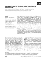 Báo cáo khoa học: Ubiquitination of E3 ubiquitin ligase TRIM5a and its potential role pdf