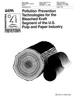 POLLUTION PREVENTION TECHNOLOGIES FOR THE BLEACHED KRAFT SEGMENT OF THE U.S. PULP AND PAPER INDUSTRY potx