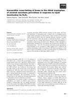 Báo cáo khoa học: Irreversible cross-linking of heme to the distal tryptophan of stromal ascorbate peroxidase in response to rapid inactivation by H2O2 ppt