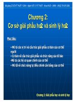 Sinh học và cuộc sống: cơ sở giải phẫu học và sinh lý học