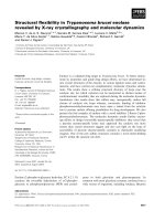 Báo cáo khoa học: Structural ﬂexibility in Trypanosoma brucei enolase revealed by X-ray crystallography and molecular dynamics pdf