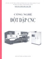 công nghệ đột dập cnc - past 1