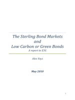 The Sterling Bond Markets   and  Low Carbon or Green Bonds -  A report to E3G  ppt