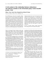 Báo cáo khoa học: In vitro analysis of the relationship between endonuclease and maturase activities in the bi-functional doc