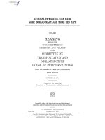 NATIONAL INFRASTRUCTURE BANK: MORE BUREAUCRACY AND MORE RED TAPE pptx