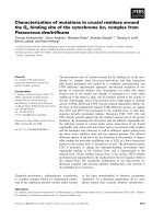 Báo cáo khoa học: Characterization of mutations in crucial residues around the Qo binding site of the cytochrome bc1 complex from Paracoccus denitriﬁcans pdf