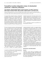 Báo cáo Y học: Permeability transition-independent release of mitochondrial cytochrome c induced by valinomycin ppt