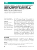 Báo cáo khoa học: A distinct sequence in the adenine nucleotide translocase from Artemia franciscana embryos is associated with insensitivity to bongkrekate and atypical effects of adenine nucleotides on Ca2+ uptake and sequestration pdf