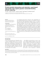 Báo cáo khoa học: Protein–protein interactions and selection: yeast-based approaches that exploit guanine nucleotide-binding protein signaling doc