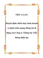 TIỂU LUẬN: Hoạch định chiến lược kinh doanh và phát triển mạng thông tin di động của Công ty Thông tin Viễn thông Điện lực pptx