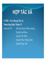 tiểu luận hợp tác xã